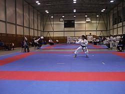 9. října 2010 - Národní pohár JKA karate