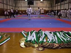 9. října 2010 - Národní pohár JKA karate