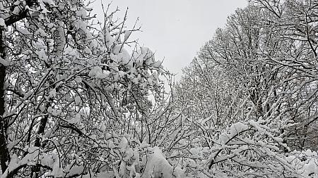 sníh, zdroj: oKS