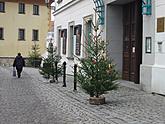 Vánoční výzdoba v Českém Krumlově, foto: Archiv Odbor životního prostředí a zemědělství