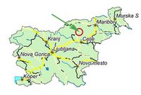 Slovenj Gradec - mapa
