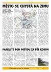 Zpravodaj města Český Krumlov - listopad 2009 - strana 3